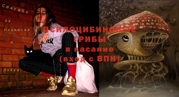 соль курить ск Бородино