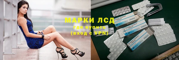 стаф Пересвет