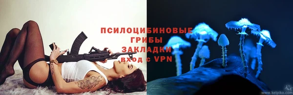 синтетический гашиш Богородицк