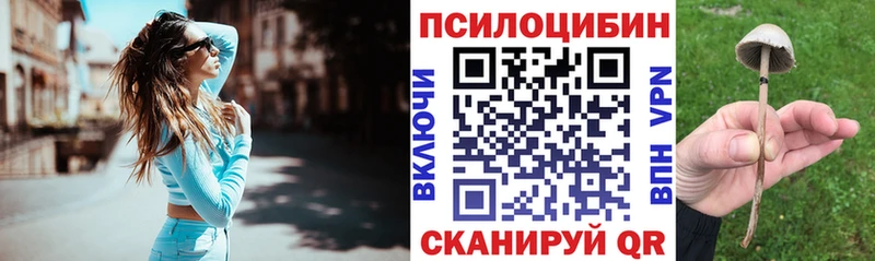наркота  Котлас  Галлюциногенные грибы Magic Shrooms 