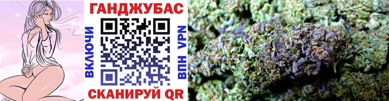 Бошки марихуана семена  KRAKEN tor  Котлас 